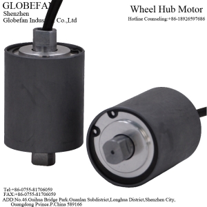 Φ50 Roller motor